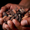 Cacao Tabaq